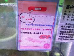 -上海大自然野生昆虫馆(东方明珠·爬宠昆虫探索中心)