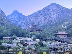 -禅宗少林·音乐大典