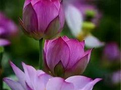 -乐享养生(东湖店)