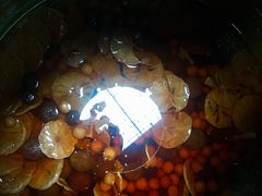 -象山村腊排骨(丽江总店)