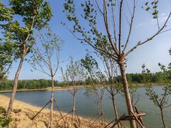 -洪泽湖古堰景区