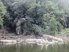 -合肥野生动物园