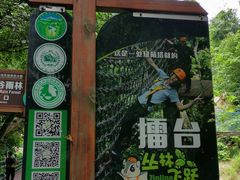 -西双版纳原始森林公园