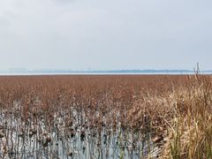 -阳澄湖半岛旅游度假区