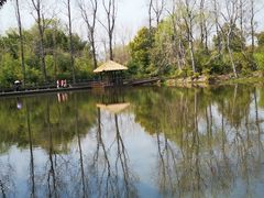 -溱湖国家湿地公园