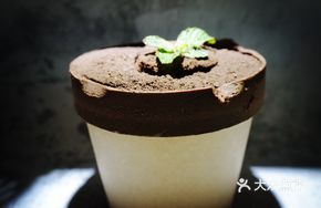 Riva Viral Potted Sundae