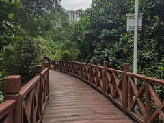 -大亚湾红树林城市湿地公园