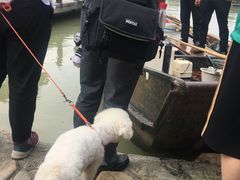 -湖州太湖旅游度假区-月亮广场