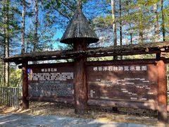 -峡谷浮石林景区