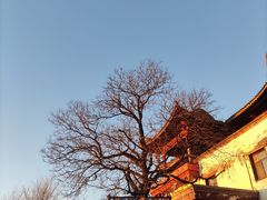 -香山公园
