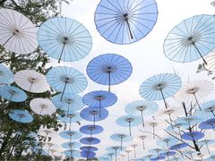 -保利石象湖景区