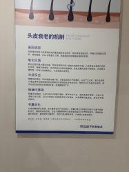 -碧莲盛不剃发植发