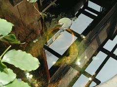 -文儒九号·闽菜馆(三坊七巷店)