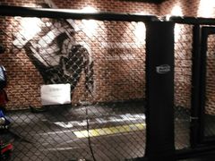 -威尔仕健身·游泳(KING88店)