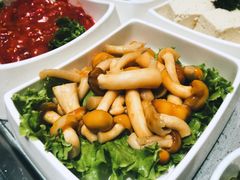 -海底捞火锅(凯德广场店)