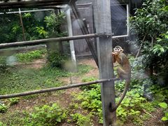 -五龙山野生动物王国