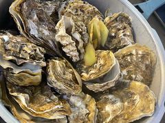 -千岛蚝高压锅生蚝·人参火锅(白云万达店)