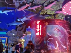 -烟台海昌鲸鲨海洋公园