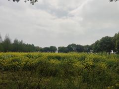 -莲花岛景区