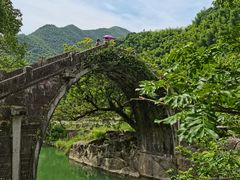 -鹿亭中村
