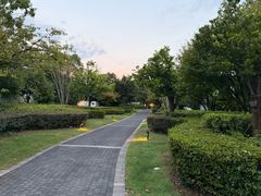 -千岛湖安岚·湖景全日餐厅