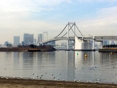 -台场海滨公园船码头