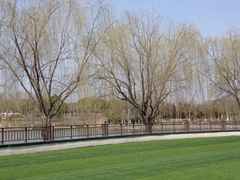 -九里河湿地公园