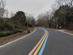 -同里国家湿地公园
