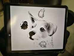 -明星刺青·洗纹身