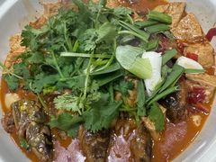 -军子大排档(迎春花园店)