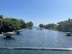 -亚龙湾喜来登·美景台大堂吧