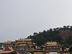 -四川郎木寺镇