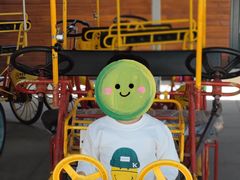 -羊亭河湿地公园