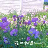 假期浪计划 | 双龙湖花花世界打卡拍照