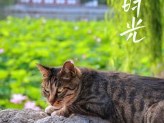 -北海公园