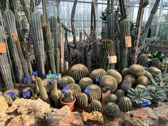 -国家植物园南园