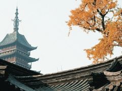 -上海方塔园