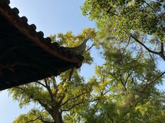 -无锡惠山寺