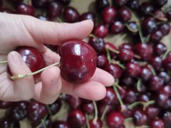 -红星农博物流中心