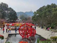 -南山植物园