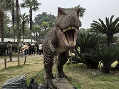 -自贡恐龙博物馆