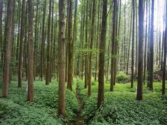 -山王坪喀斯特国家生态公园