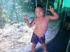 -秦皇岛乐岛海洋王国