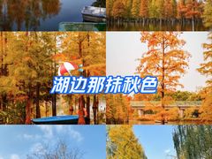 -白鹭湾湿地公园