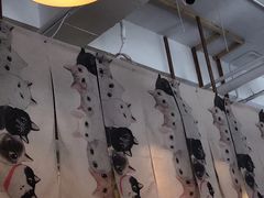 -吉丁鸟咖·异宠·寄养