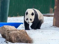 -沈阳森林动物园