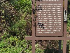 -阳台山自然风景区