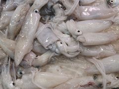 鱿鱼-茂港柏香(侨港路店)
