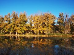 -承德避暑山庄景区