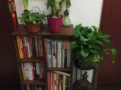 -弘智卉艺术教育/高端琴房(中央音乐学院店)